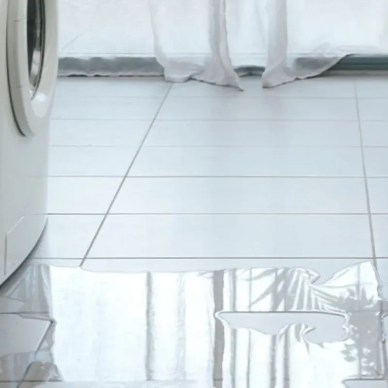 Appliance Leak Cleanup in Amidon, ND