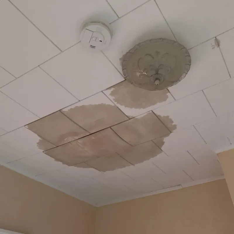 Ceiling Water Damage Repair in Amidon, ND