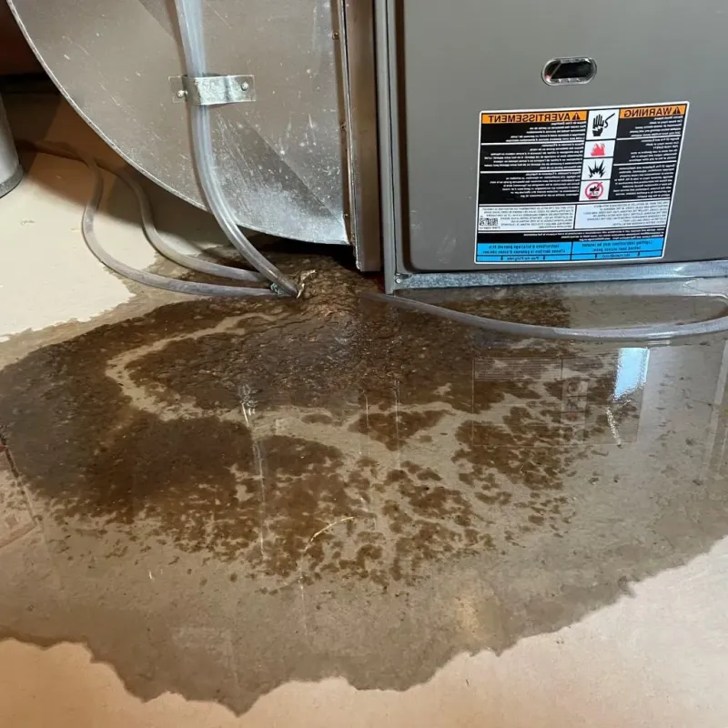 Pipe Burst and Leak Restoration in Amidon, ND