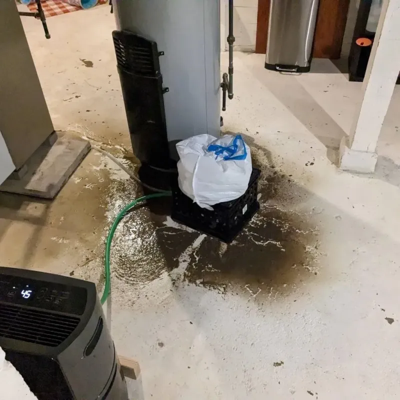 Sewage Backup Cleanup Service in Amidon, ND
